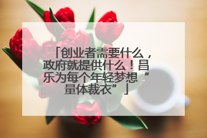 创业者需要什么，政府就提供什么！昌乐为每个年轻梦想“量体裁衣”
