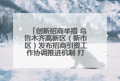 创新招商举措 乌鲁木齐高新区（新市区）发布招商引资工作协调推进机制 打造投资发展新高地
