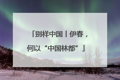 别样中国丨伊春，何以“中国林都”