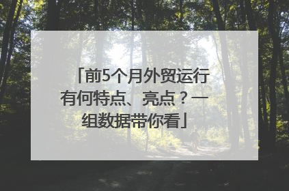 前5个月外贸运行有何特点、亮点？一组数据带你看
