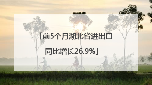 前5个月湖北省进出口同比增长26.9%