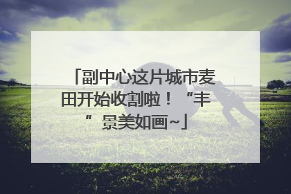 副中心这片城市麦田开始收割啦！“丰”景美如画~