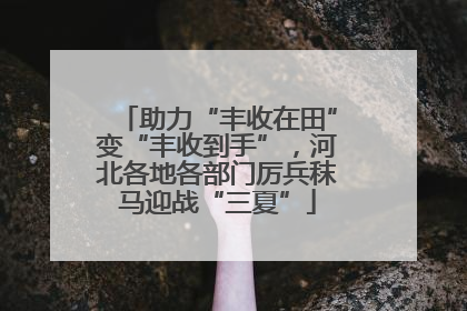 助力“丰收在田”变“丰收到手”，河北各地各部门厉兵秣马迎战“三夏”