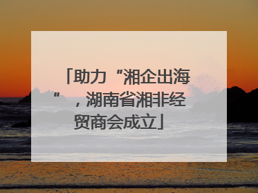 助力“湘企出海”，湖南省湘非经贸商会成立