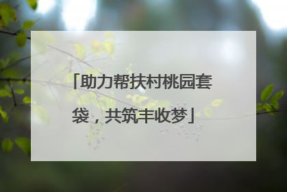 助力帮扶村桃园套袋，共筑丰收梦