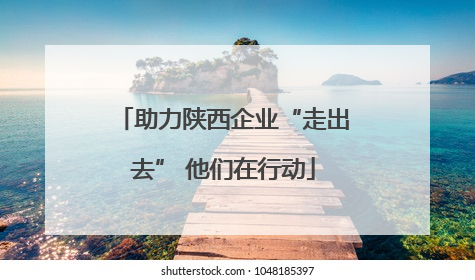 助力陕西企业“走出去” 他们在行动