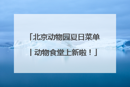北京动物园夏日菜单丨动物食堂上新啦！