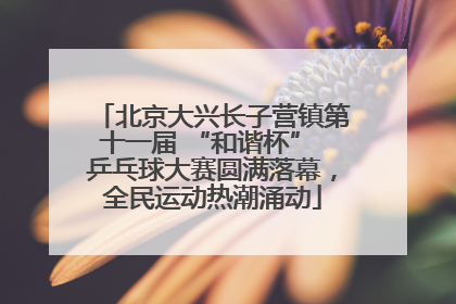 北京大兴长子营镇第十一届 “和谐杯” 乒乓球大赛圆满落幕，全民运动热潮涌动