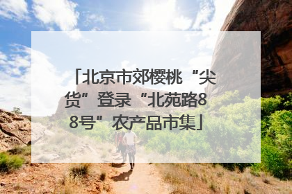 北京市郊樱桃“尖货”登录“北苑路88号”农产品市集