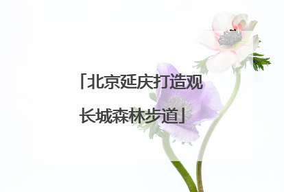 北京延庆打造观长城森林步道