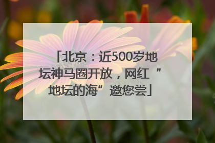 北京：近500岁地坛神马圈开放，网红“地坛的海”邀您尝