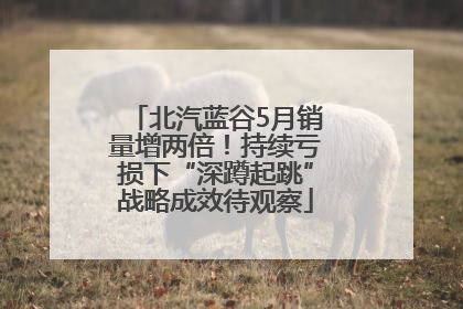 北汽蓝谷5月销量增两倍！持续亏损下“深蹲起跳”战略成效待观察