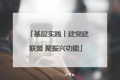 基层实践丨建党建联盟 聚振兴功能