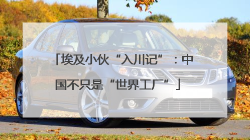 埃及小伙“入川记”：中国不只是“世界工厂”