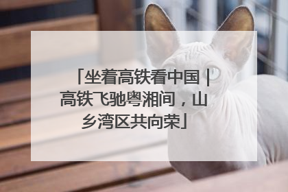 坐着高铁看中国｜高铁飞驰粤湘间，山乡湾区共向荣