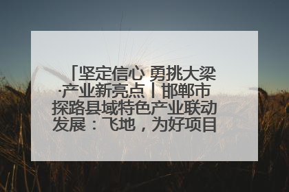 坚定信心 勇挑大梁·产业新亮点丨邯郸市探路县域特色产业联动发展：飞地，为好项目跨域安个家