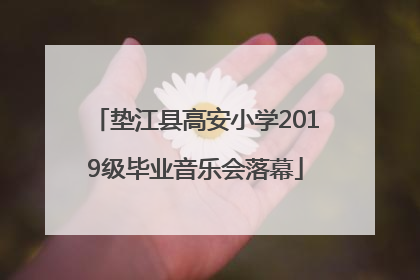 垫江县高安小学2019级毕业音乐会落幕