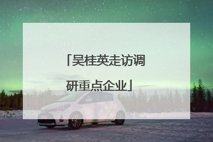 吴桂英走访调研重点企业