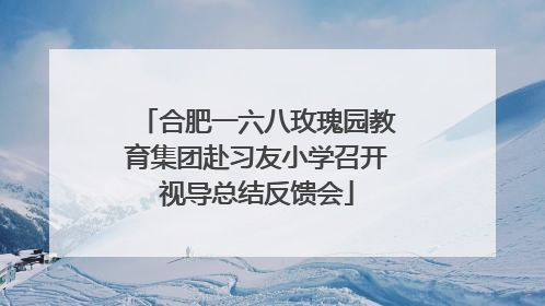 合肥一六八玫瑰园教育集团赴习友小学召开视导总结反馈会