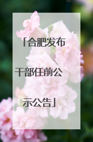合肥发布干部任前公示公告