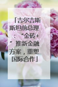 吉尔吉斯斯坦前总理：“金砖+”推新金融方案，重塑国际合作