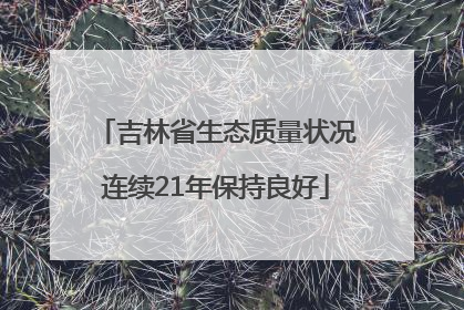 吉林省生态质量状况连续21年保持良好