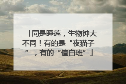 同是睡莲，生物钟大不同！有的是“夜猫子”，有的“值白班”