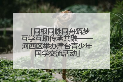 同根同脉同舟筑梦 互学互助传承共融——河西区举办津台青少年国学交流活动