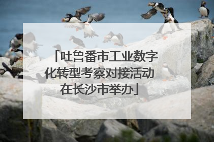 吐鲁番市工业数字化转型考察对接活动在长沙市举办