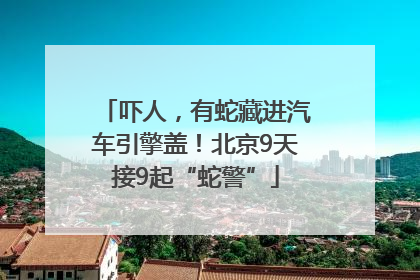 吓人，有蛇藏进汽车引擎盖！北京9天接9起“蛇警”