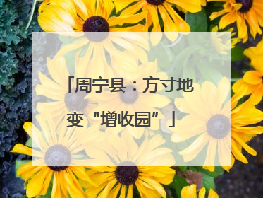 周宁县：方寸地变“增收园”