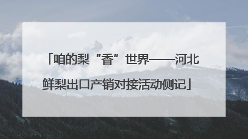咱的梨“香”世界——河北鲜梨出口产销对接活动侧记