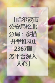 哈尔滨市公安局松北分局：多措并举推动12367服务平台深入人心