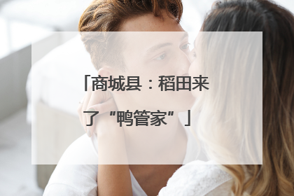 商城县：稻田来了“鸭管家”