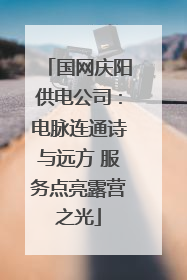 国网庆阳供电公司：电脉连通诗与远方 服务点亮露营之光