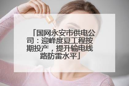 国网永安市供电公司：迎峰度夏工程按期投产，提升输电线路防雷水平