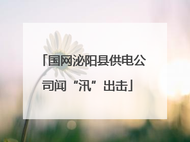 国网泌阳县供电公司闻“汛”出击