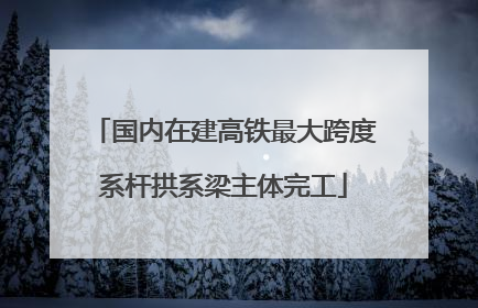 国内在建高铁最大跨度系杆拱系梁主体完工