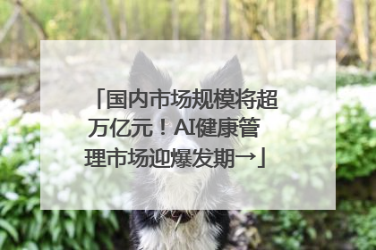 国内市场规模将超万亿元！AI健康管理市场迎爆发期→