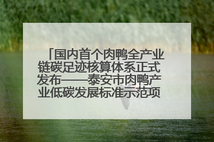国内首个肉鸭全产业链碳足迹核算体系正式发布——泰安市肉鸭产业低碳发展标准示范项目顺利通过验收