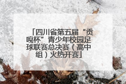 四川省第五届“贡嘎杯”青少年校园足球联赛总决赛（高中组）火热开赛