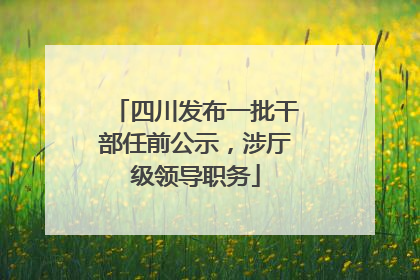 四川发布一批干部任前公示，涉厅级领导职务