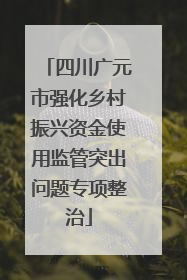四川广元市强化乡村振兴资金使用监管突出问题专项整治