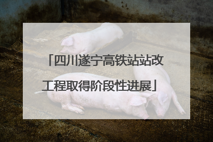四川遂宁高铁站站改工程取得阶段性进展