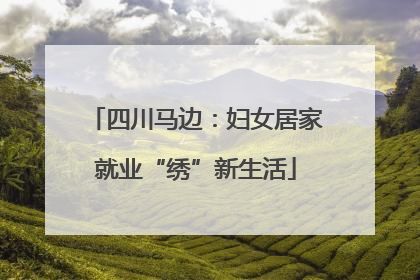四川马边：妇女居家就业“绣”新生活