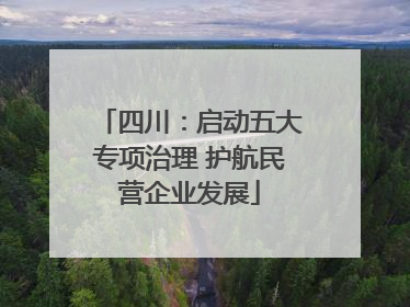 四川：启动五大专项治理 护航民营企业发展