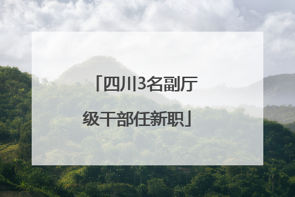 四川3名副厅级干部任新职