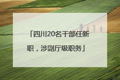 四川20名干部任新职，涉副厅级职务