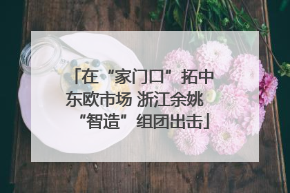 在“家门口”拓中东欧市场 浙江余姚“智造”组团出击