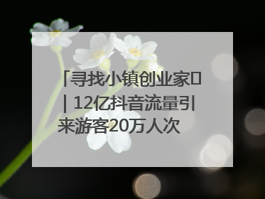 寻找小镇创业家㊱｜12亿抖音流量引来游客20万人次 “襄阳许三多”爆改家乡打造网红村